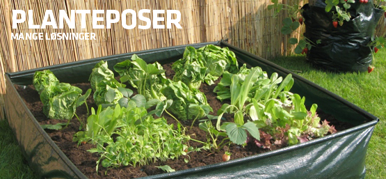 Plantepose bestil nu vi sender alle hverdage. Hængende planteposer