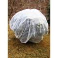 Frost Fleece Dug 1X16M