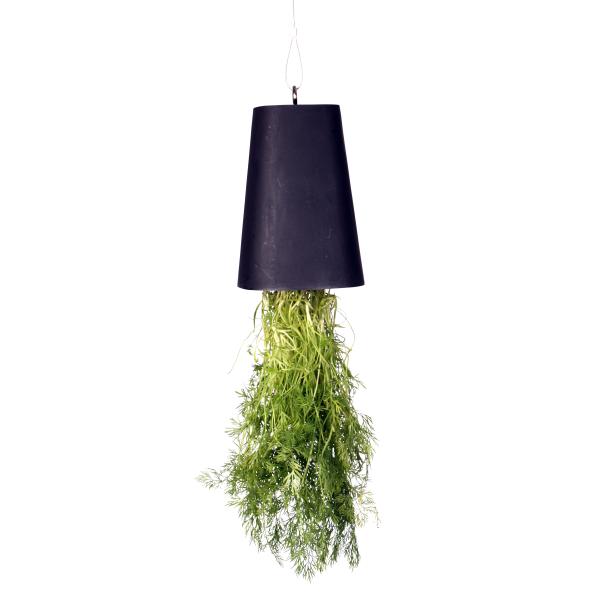 Hængende potteplante lyserød, køb din nye hængende potteplante ... Hængende planteposer