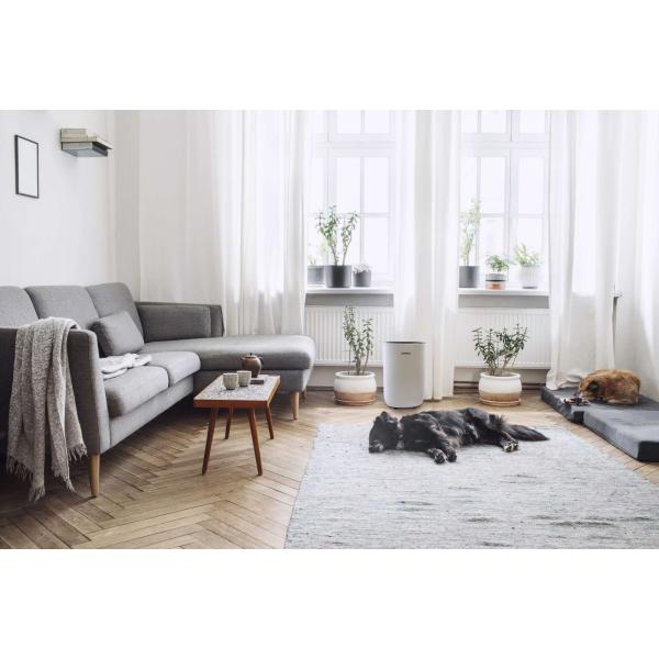 Eeese affugter Emil 10L
