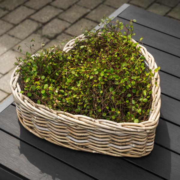 Kurv hjerteformet 42x44x13cm