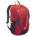 Artic Hiking 45L Rød 51X31X17Cm Backpack Rygsæk