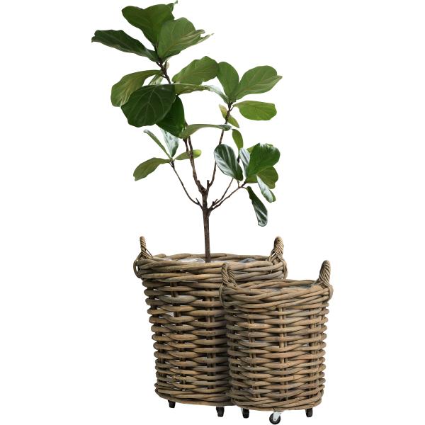 Havekurvesæt grå rattan med hjul
