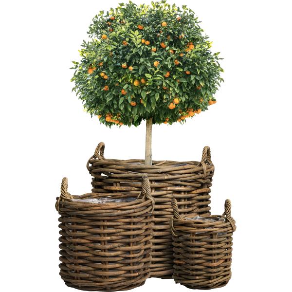 Havekurvesæt grå rattan