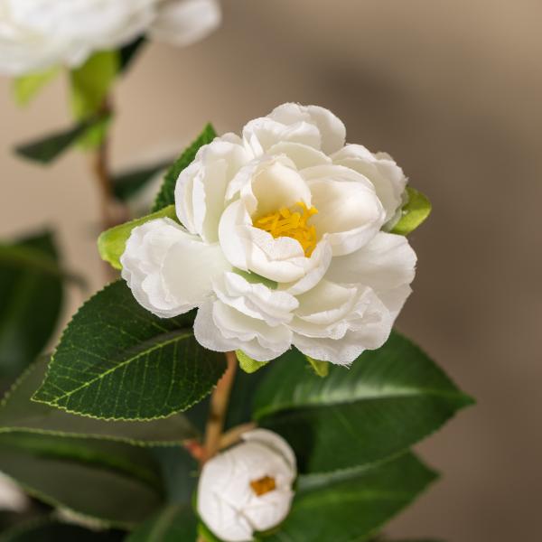 Kunstig kamelia japansk rosetræ hvid 90 cm